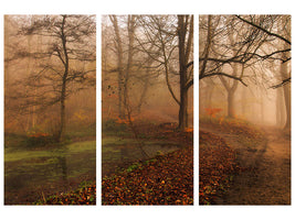 3-piece-canvas-print-which-path-ii