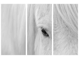 3-piece-canvas-print-whisper-of-iceland