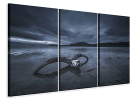 3-piece-canvas-print-white-bone-beach