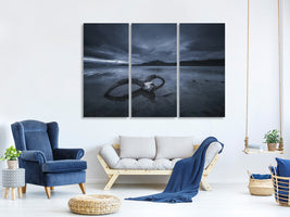 3-piece-canvas-print-white-bone-beach