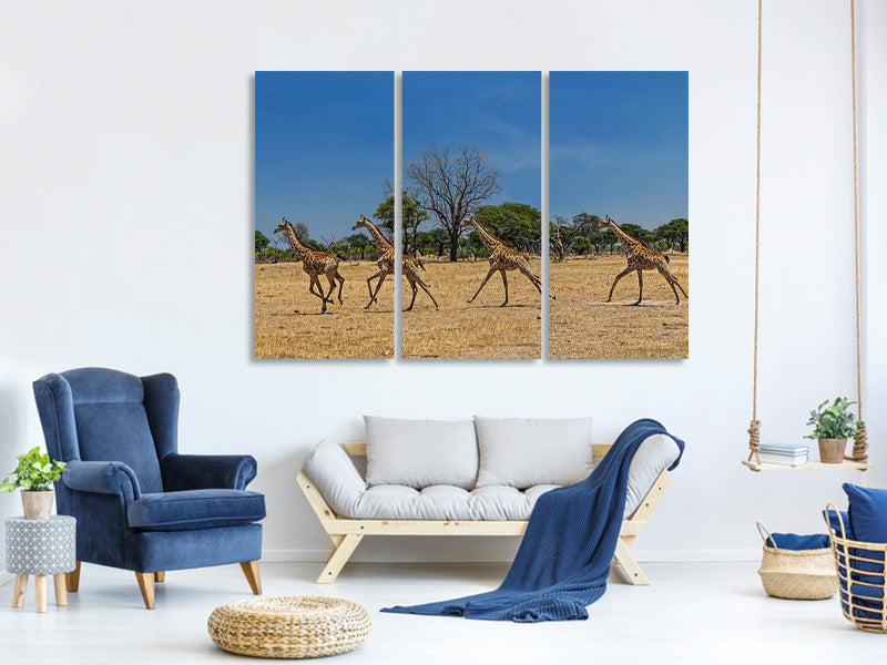 3-piece-canvas-print-wild-and-free