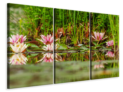 3-piece-canvas-print-wild-water-lilies