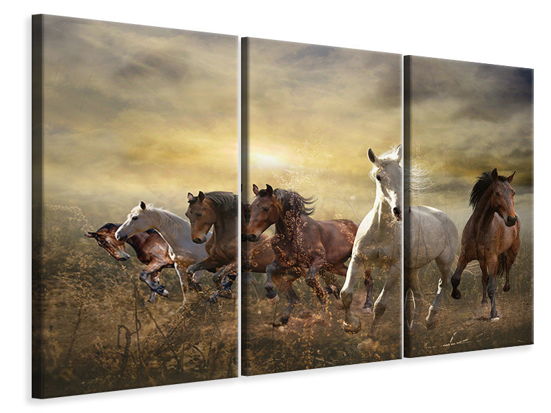 3-piece-canvas-print-wild-wild-horses