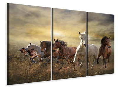3-piece-canvas-print-wild-wild-horses