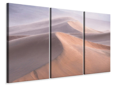 3-piece-canvas-print-wind