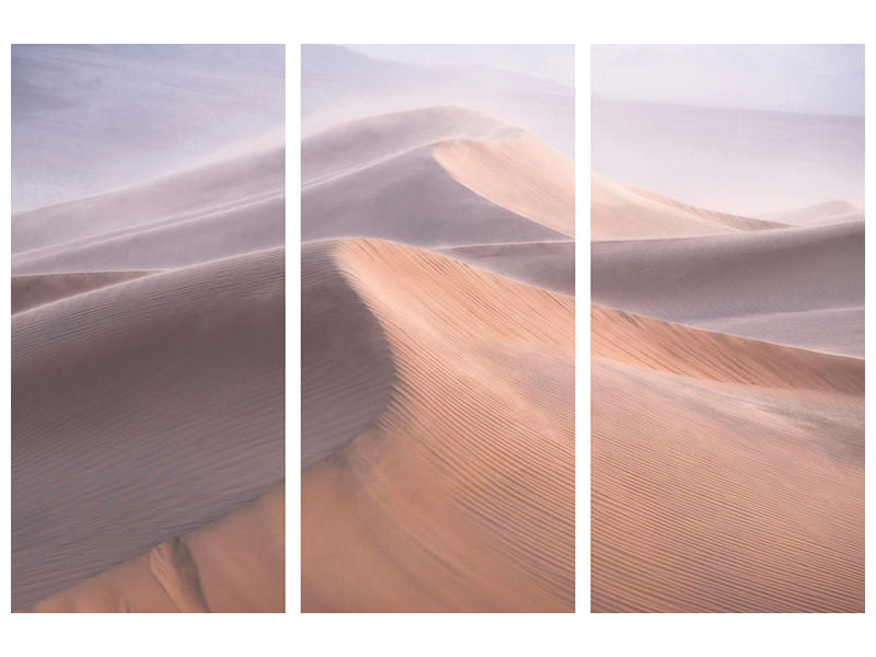 3-piece-canvas-print-wind