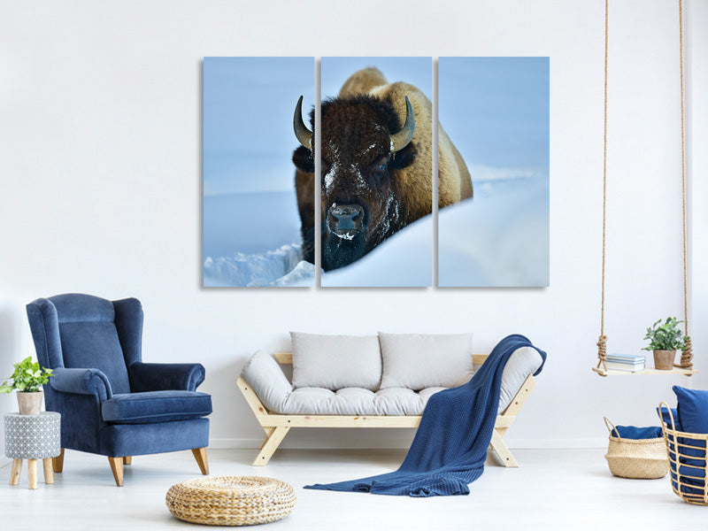 3-piece-canvas-print-winter-bison