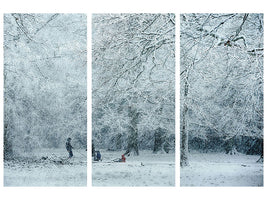 3-piece-canvas-print-winter-dream