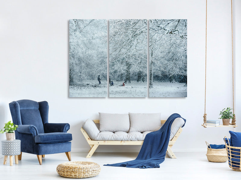 3-piece-canvas-print-winter-dream
