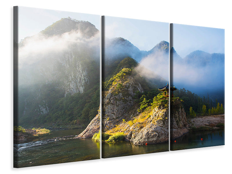 3-piece-canvas-print-wollyubong