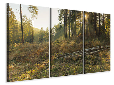 3-piece-canvas-print-working-in-the-woods