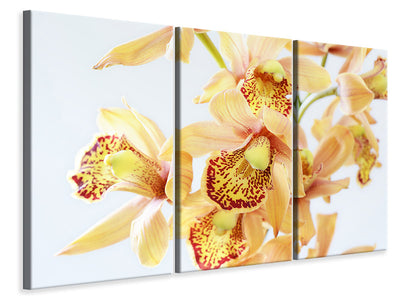 3-piece-canvas-print-yellow-orchid