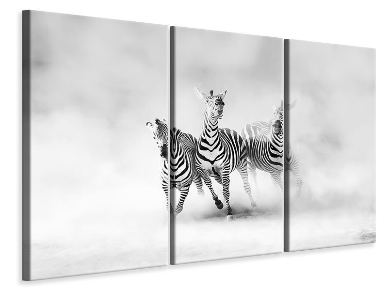 3-piece-canvas-print-zebras