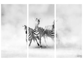 3-piece-canvas-print-zebras