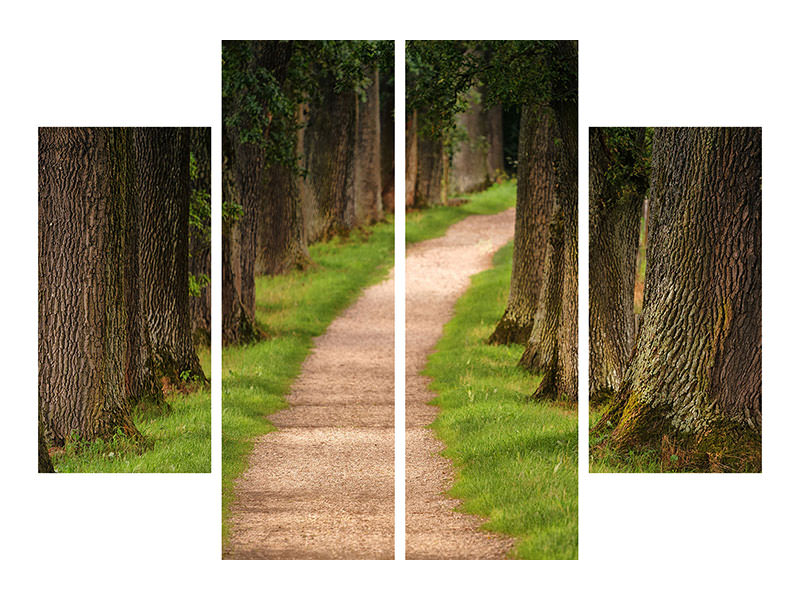 4-piece-canvas-print-a-path-in-the-forest