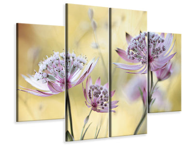 4-piece-canvas-print-astrantia-major