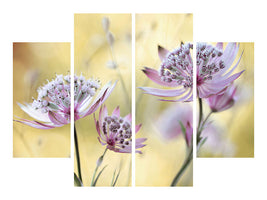 4-piece-canvas-print-astrantia-major