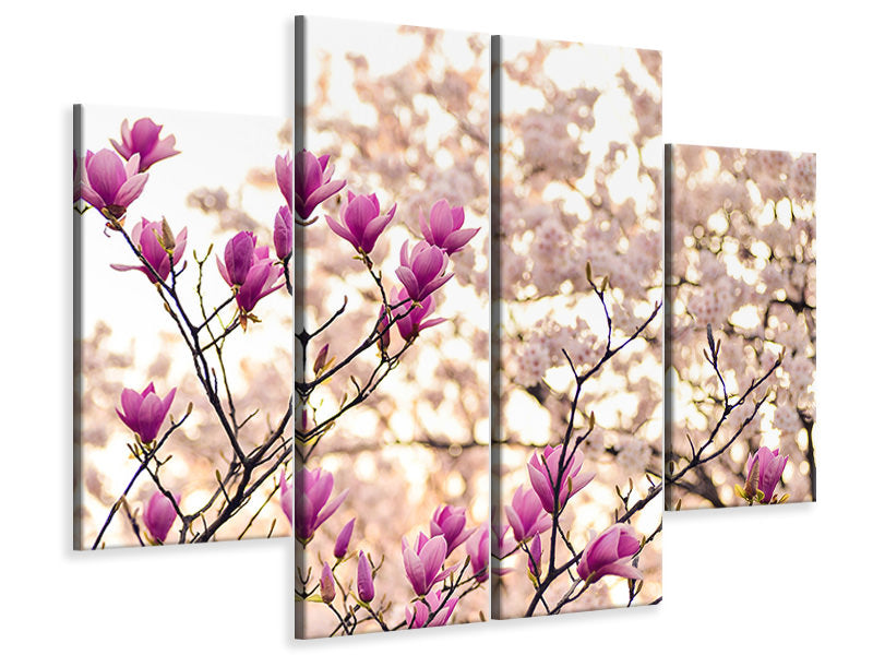 4-piece-canvas-print-beautiful-magnolia-xl