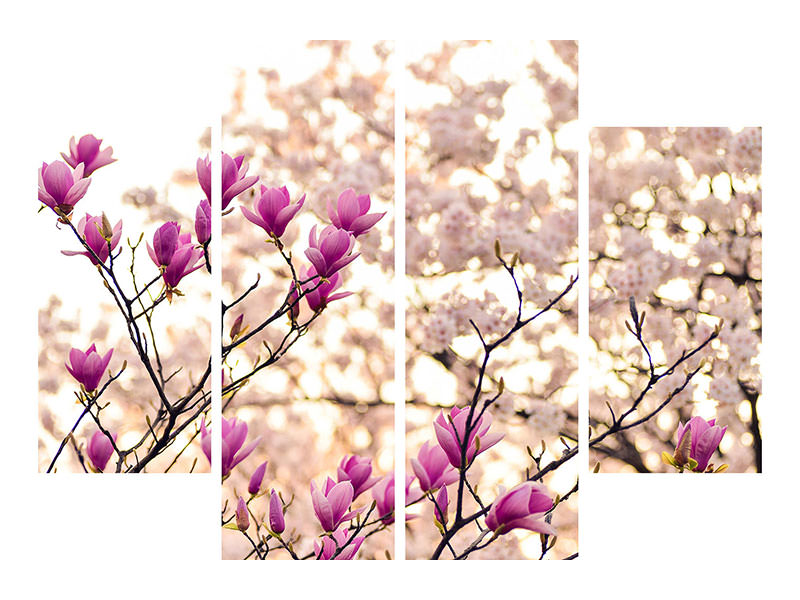 4-piece-canvas-print-beautiful-magnolia-xl