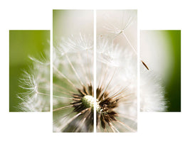 4-piece-canvas-print-blowball-dandelion