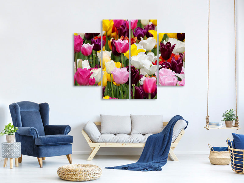 4-piece-canvas-print-colorful-tulip-field