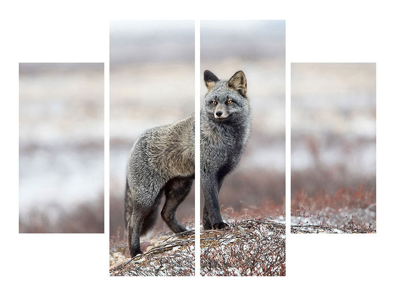 4-piece-canvas-print-cross-fox