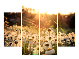 4-piece-canvas-print-daisies-at-sunset