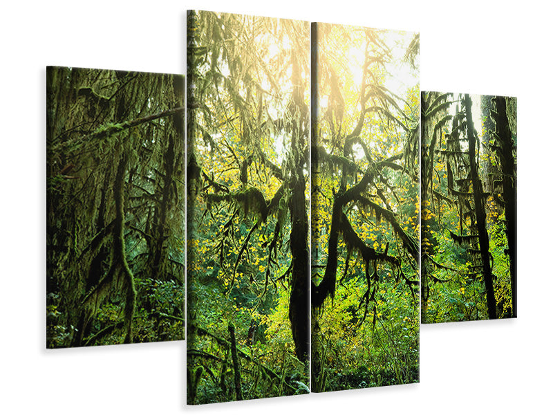 4-piece-canvas-print-dreamy-forest