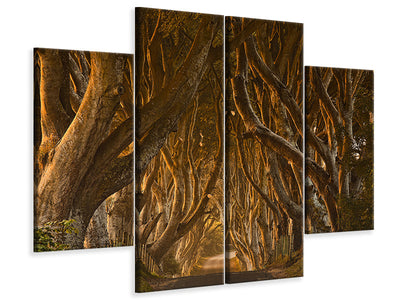 4-piece-canvas-print-early-morning-dark-hedges