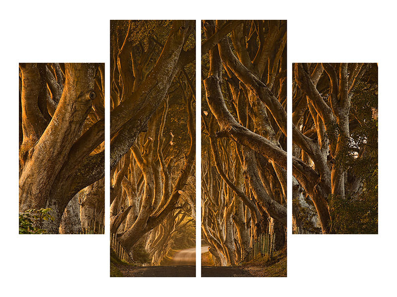 4-piece-canvas-print-early-morning-dark-hedges
