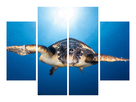 4-piece-canvas-print-face-to-face-with-a-hawksbill-sea-turtle
