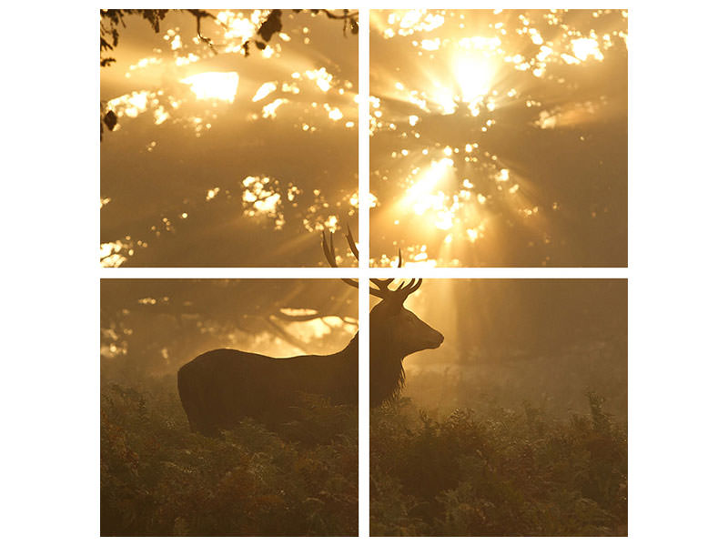 4-piece-canvas-print-ghost-of-the-forest