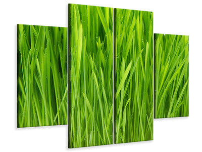 4-piece-canvas-print-grass-in-morning-dew