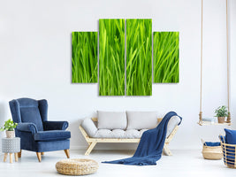 4-piece-canvas-print-grass-in-morning-dew
