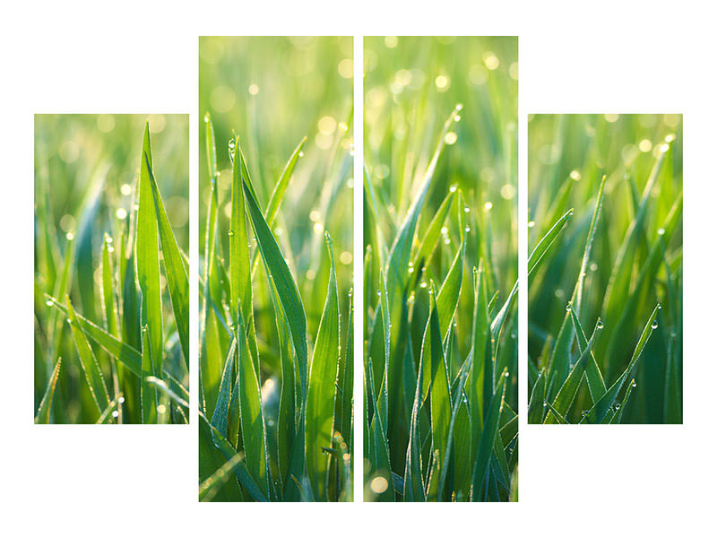 4-piece-canvas-print-grass-with-morning-dew-xl