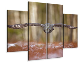 4-piece-canvas-print-great-grey-owl