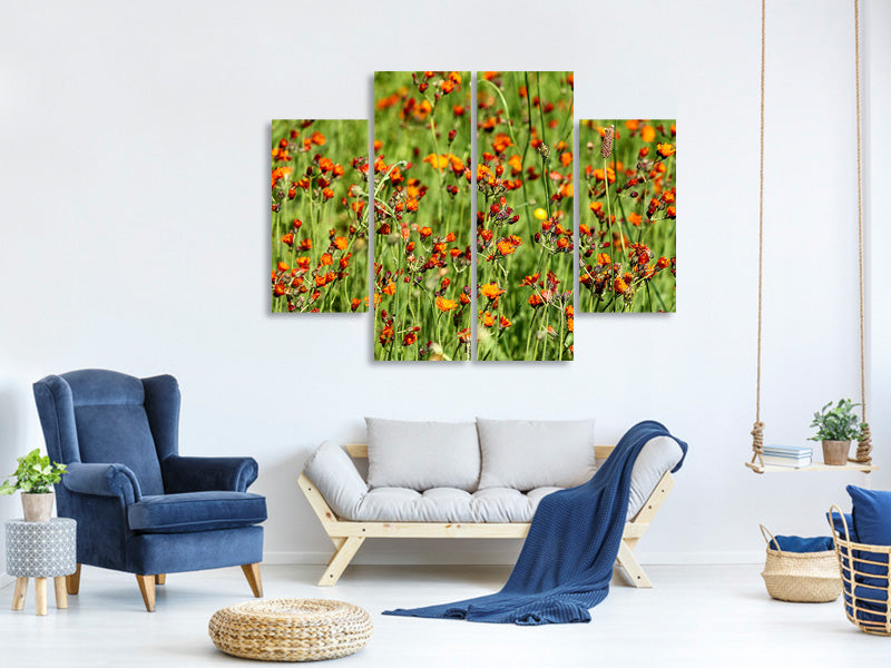 4-piece-canvas-print-hawkweeds