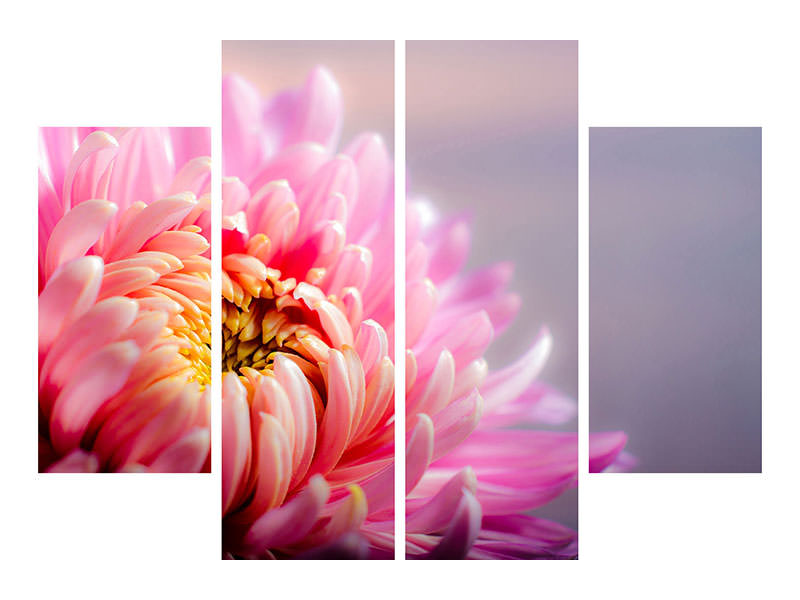 4-piece-canvas-print-macro-chrysanthemum