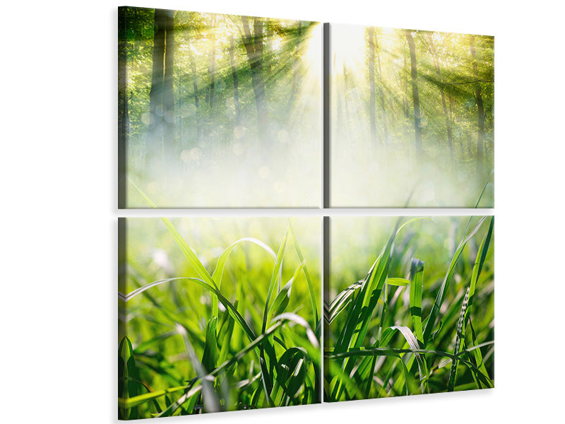 4-piece-canvas-print-magic-forest