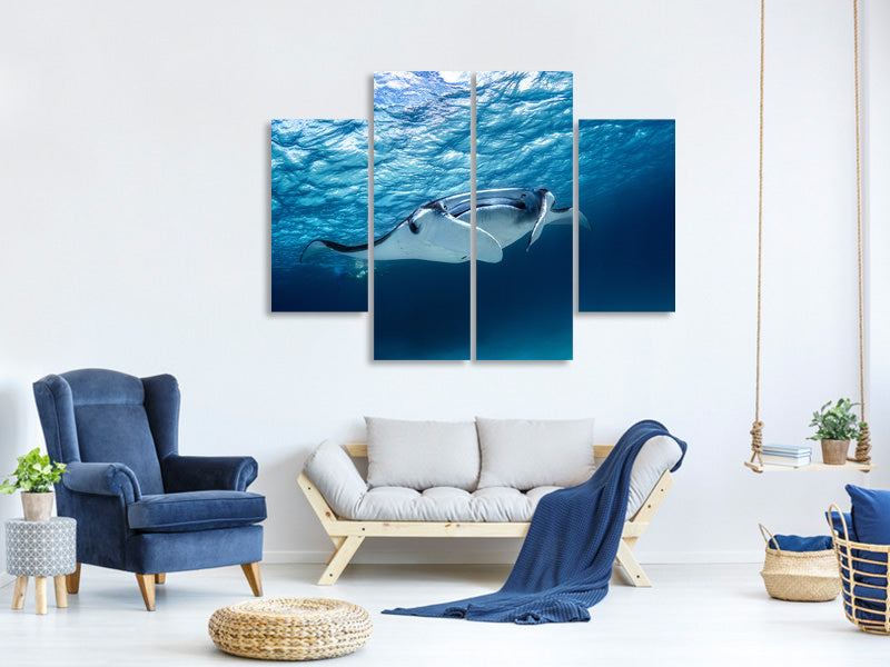 4-piece-canvas-print-manta-ray