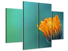 4-piece-canvas-print-marigold-in-morning-dew