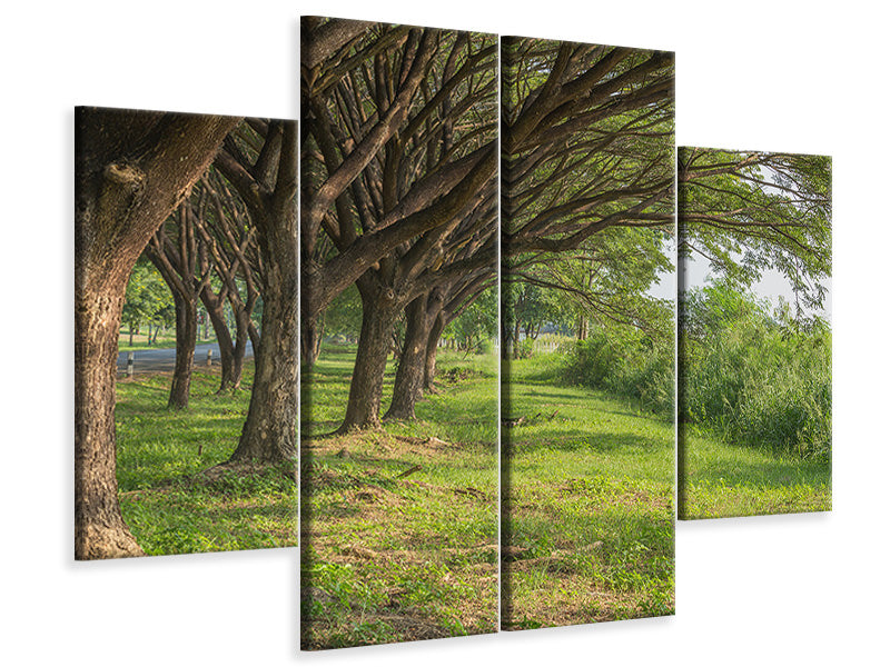 4-piece-canvas-print-mature-trees