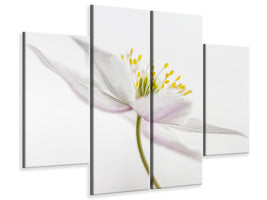 4-piece-canvas-print-nemorosa-iii