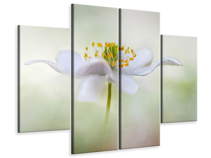 4-piece-canvas-print-nemorosa