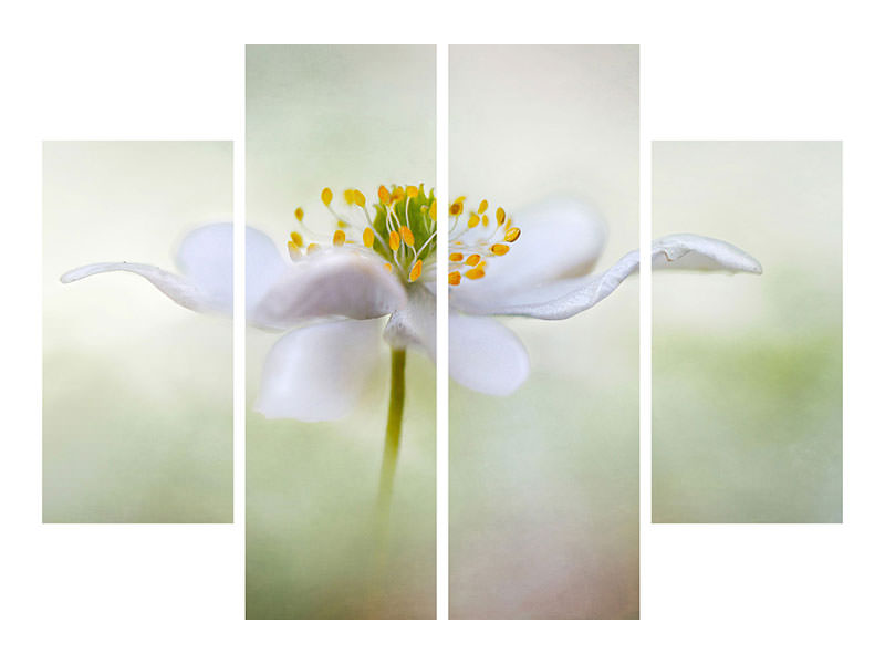 4-piece-canvas-print-nemorosa