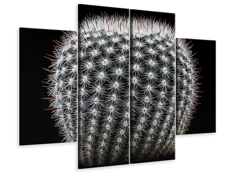 4-piece-canvas-print-notocactus-scopa-ii