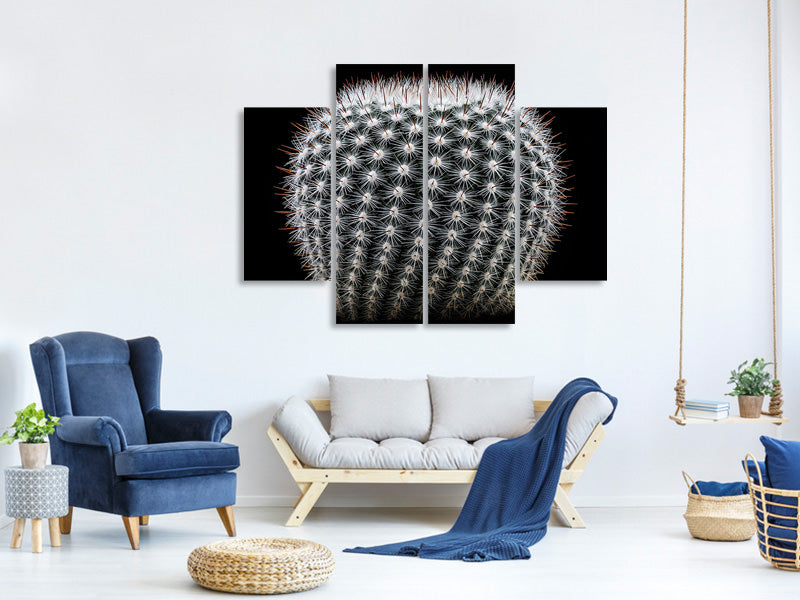 4-piece-canvas-print-notocactus-scopa-ii