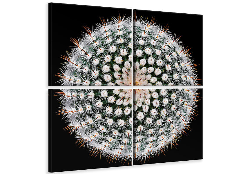 4-piece-canvas-print-notocactus-scopa