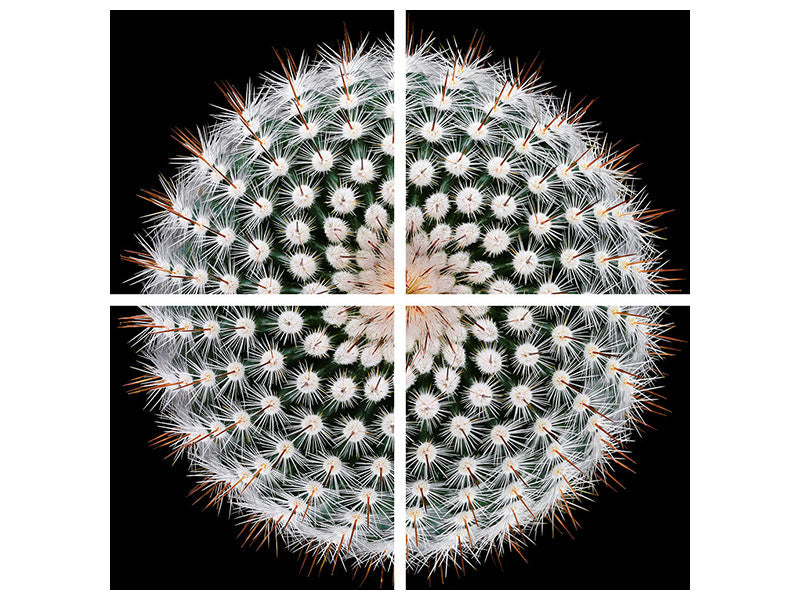 4-piece-canvas-print-notocactus-scopa