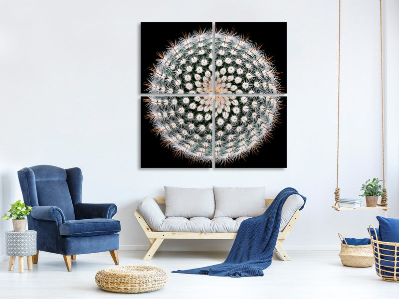 4-piece-canvas-print-notocactus-scopa